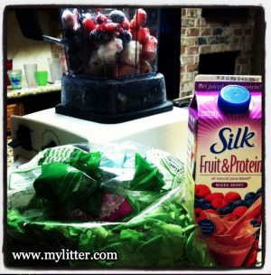 How to make a breakfast Smoothie kids will drink! {with veggies!}