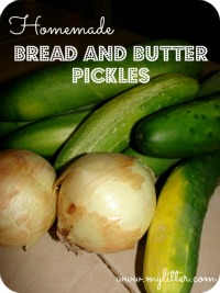 sb homemade-bread-and-butter-pickles-