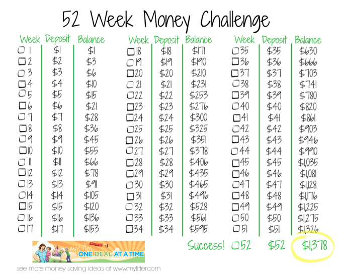 52 Week Money Challenge Savings Plan - MyLitter - One Deal ...