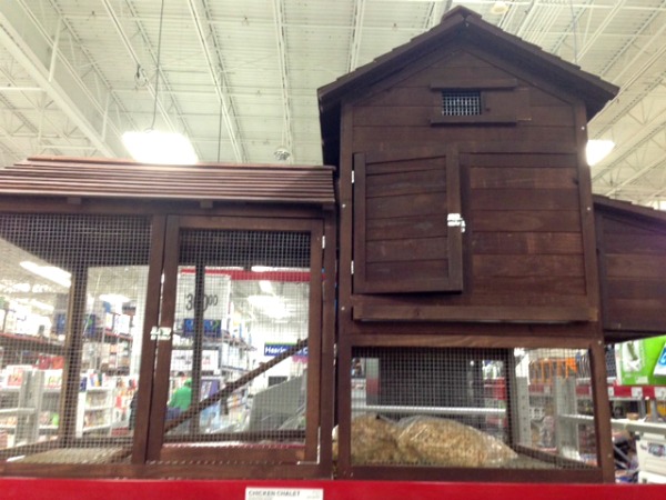 Sams Club Chicken Coop - MyLitter - One Deal At A Time
