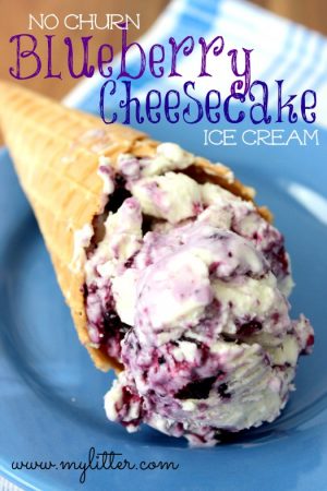 Blueberry Cheesecake Ice Cream