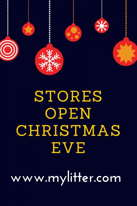 Stores Open Christmas Eve - MyLitter - One Deal At A Time