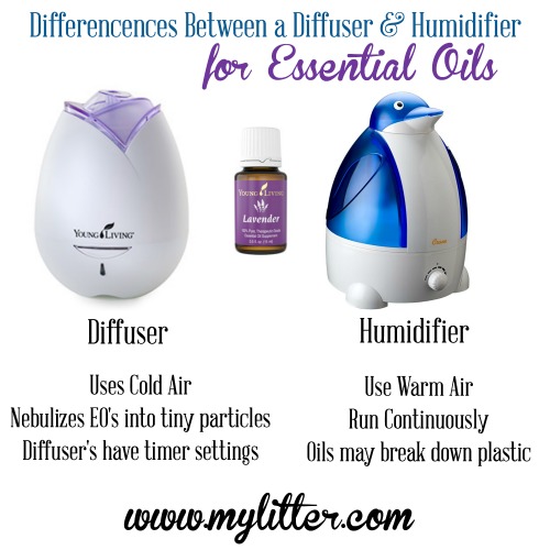 Can I use my Humidifier with Essential Oils? - MyLitter - One Deal At A