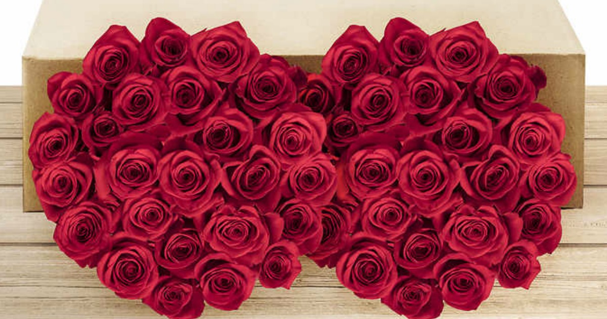 Order NOW for Valentine’s Day! Costco 50 Red Roses 49.99 Shipped