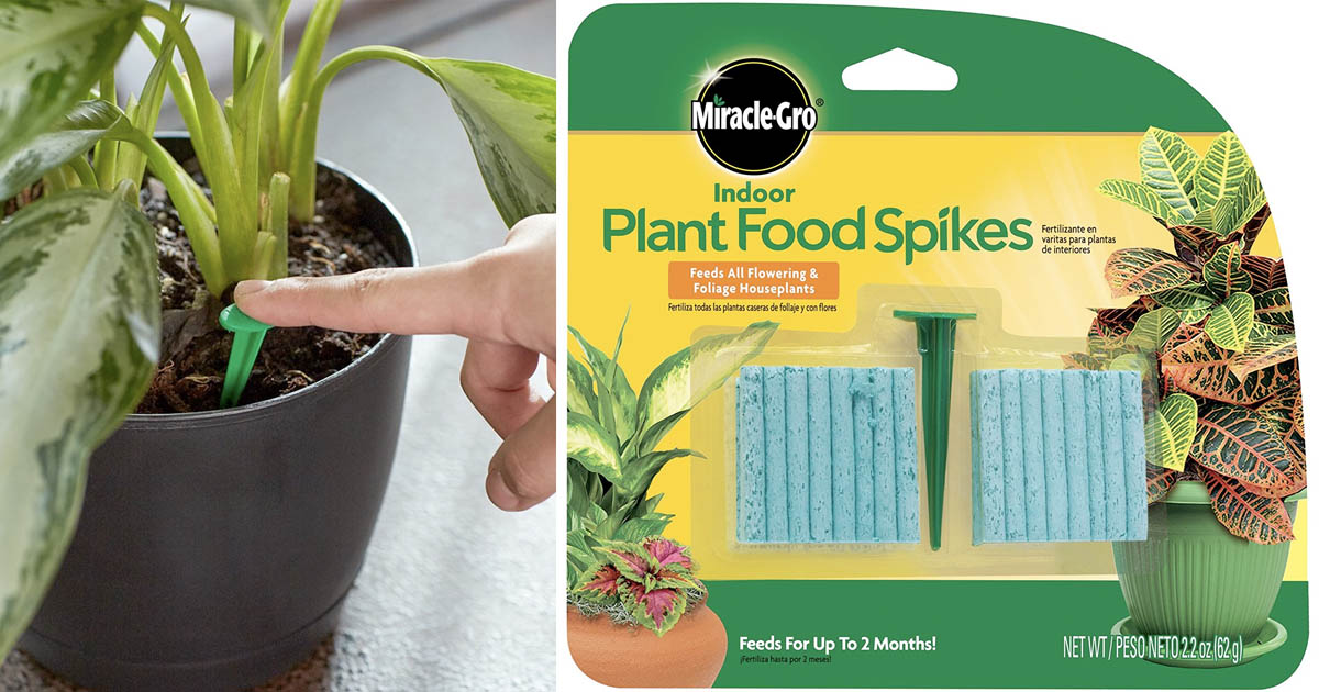 Amazon MiracleGro Indoor Plant Food, 48Spikes 1.97