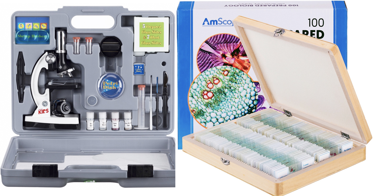 Amazon: Save 25% on AmScope Microscope Kits and Accessories - MyLitter
