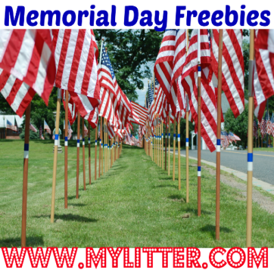 Military Freebies And Discounts For Memorial Day 2019 - MyLitter - One ...