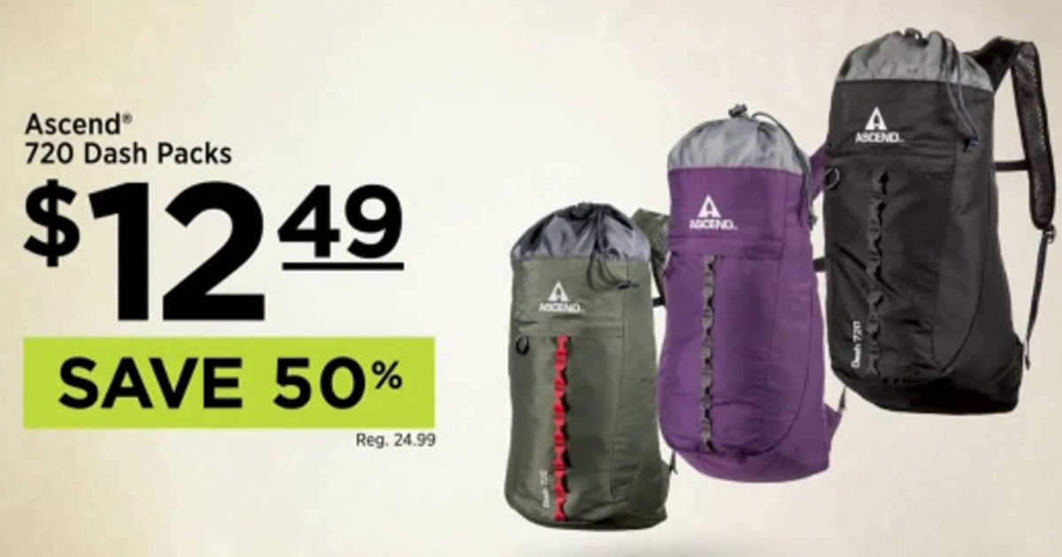 Sale > ascend backpacks > in stock