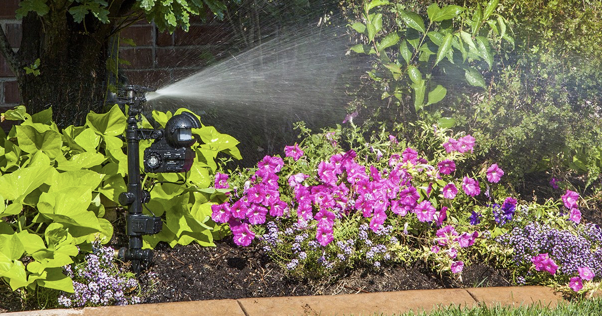 Deal of the Day MotionActivated Sprinkler with Day & Night Detection