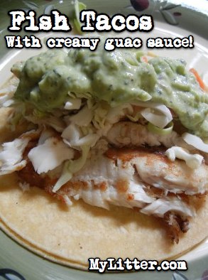 fish tacos 