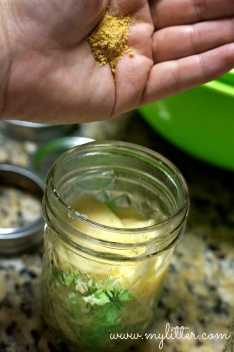 cake in a jar layers