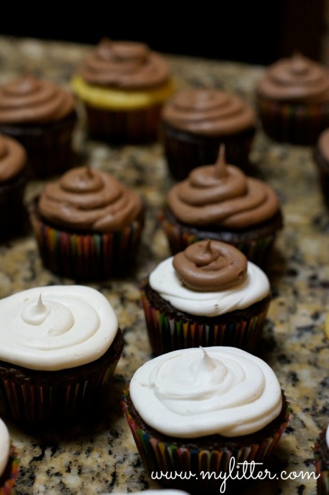 graduation cup cakes