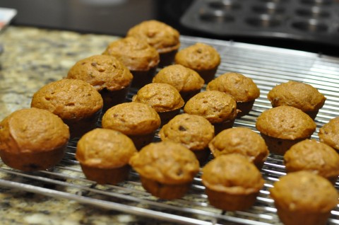 Pumpkin Chocolate Chip Muffinsrecipe