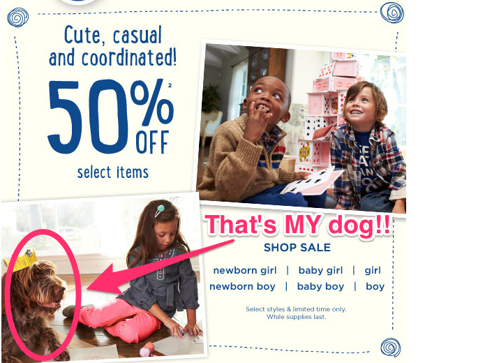 Inbox_—_iCloud__331_messages_