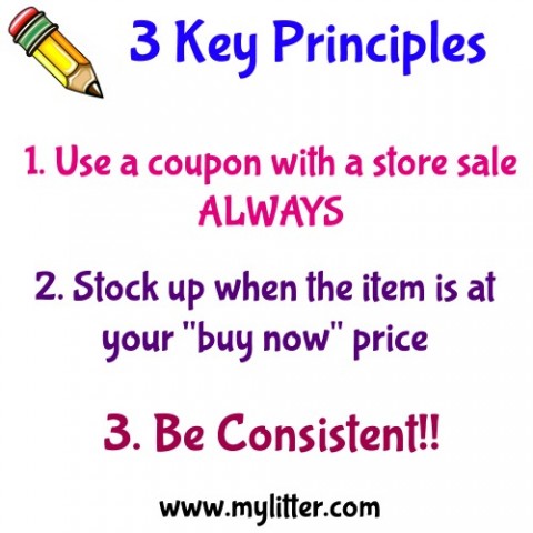 https://mylitter.com/wp-content/uploads/2014/08/Day-1-3-Key-Principles-2-480x480.jpg