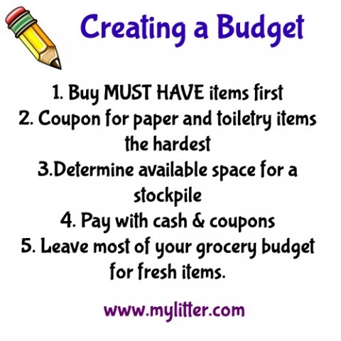 Day 1 creating a budget