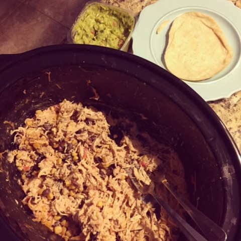 https://mylitter.com/wp-content/uploads/2015/05/Chicken-Fiesta-Crockpot--480x480.jpg