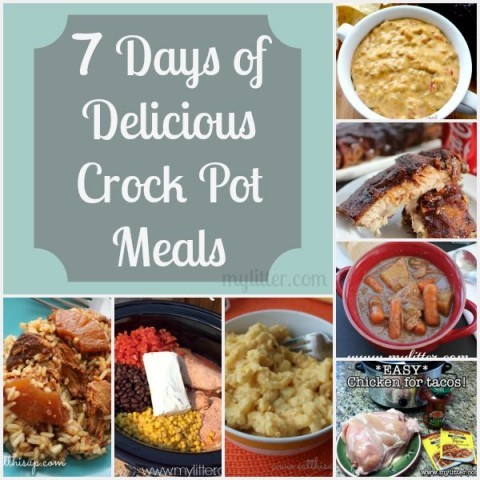 https://mylitter.com/wp-content/uploads/2015/05/crock-pot-meals-480x480-480x480.jpg