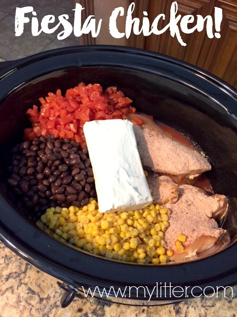 Learning to Eat Allergy-Free: Hamilton Beach Slow Cooker Review and  Giveaway (and Making Black Beans)