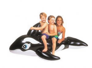 whale pool toy