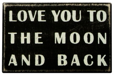 love you to the moon and back sign