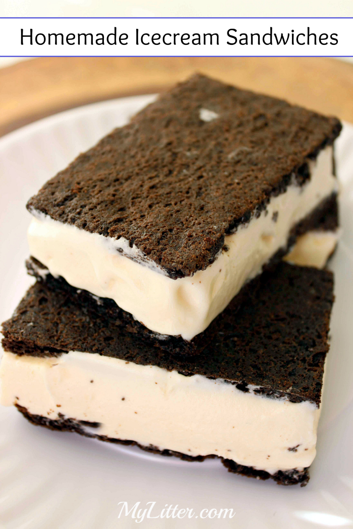 Homemade Icecream sandwiches