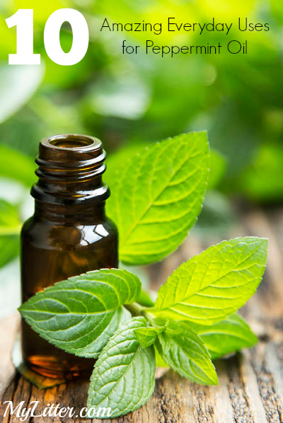 10 Uses for Peppermint Oil