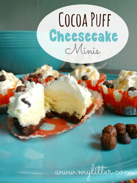 cocoapuff cheesecake minis recipe