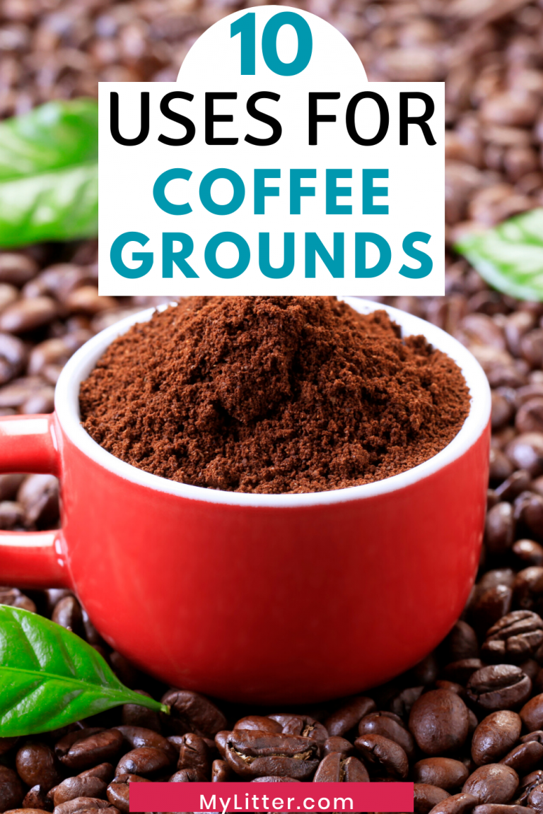 10 uses for Coffee Grounds text above red cup full over coffee grounds