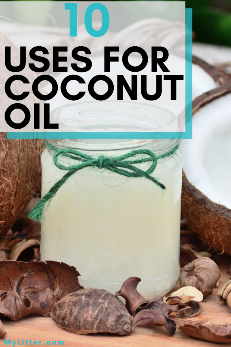 Coconuts with coconut oil in a jar. Text says 10 uses for coconut oil.