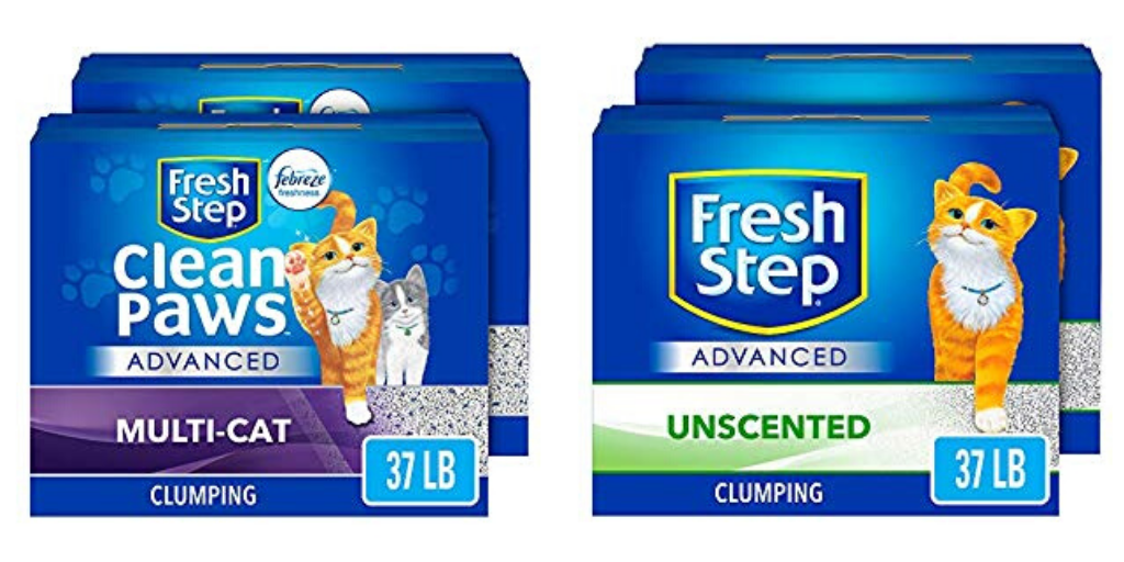 Is Fresh Step Cat Litter Good For Kittens at Mary Conroy blog